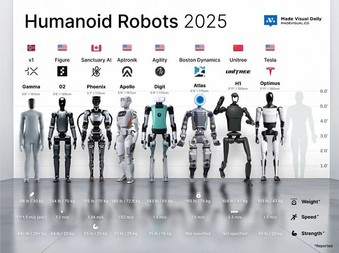 Human_Robots_2025